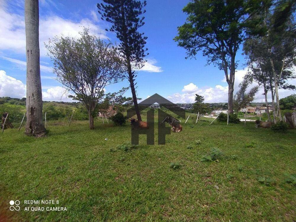 Sítio, 4 quartos, 4 hectares - Foto 7