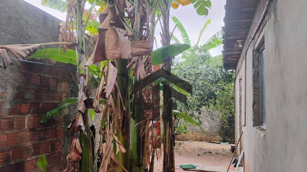 Casa, 3 quartos, 122 m² - Foto 16