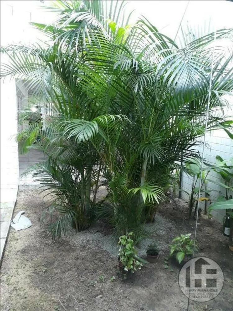 Apartamento, 1 quarto, 37 m² - Foto 2