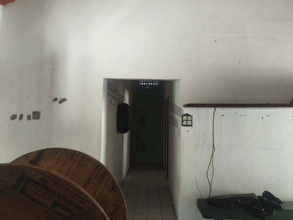 Chácara, 4 quartos, 10000 m² - Foto 4