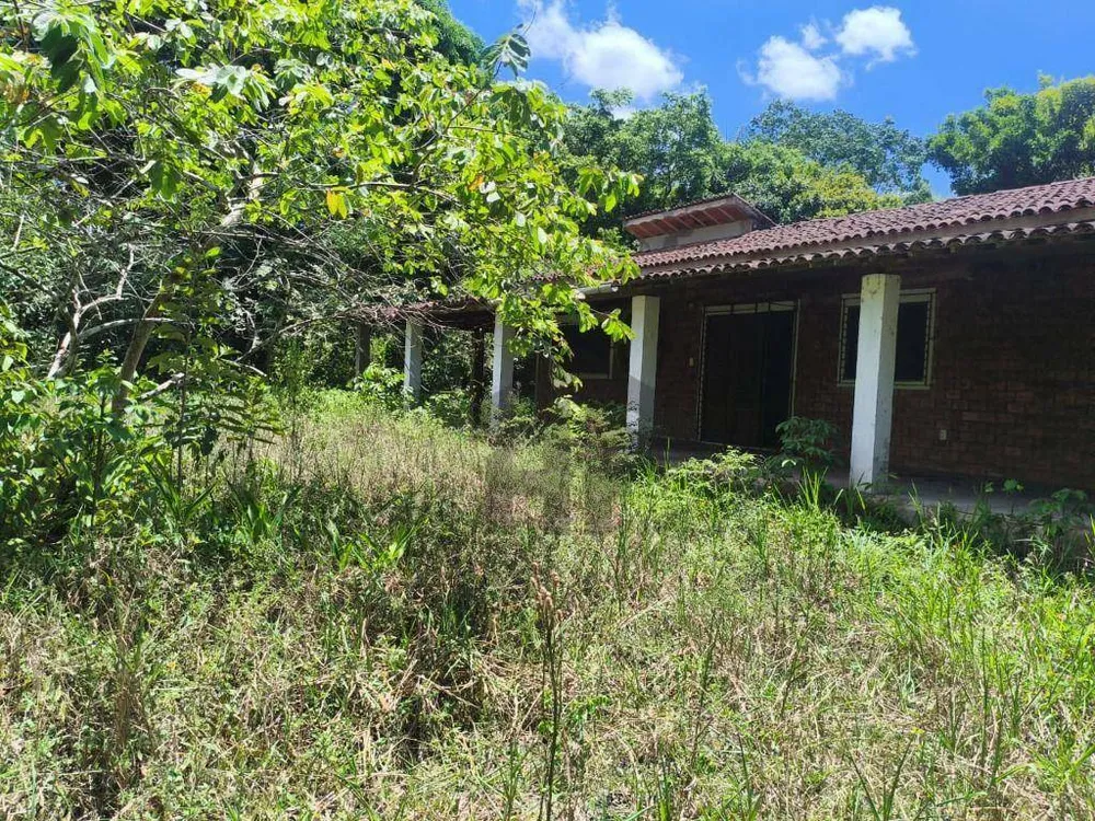 Chácara, 4 quartos, 10000 m² - Foto 2