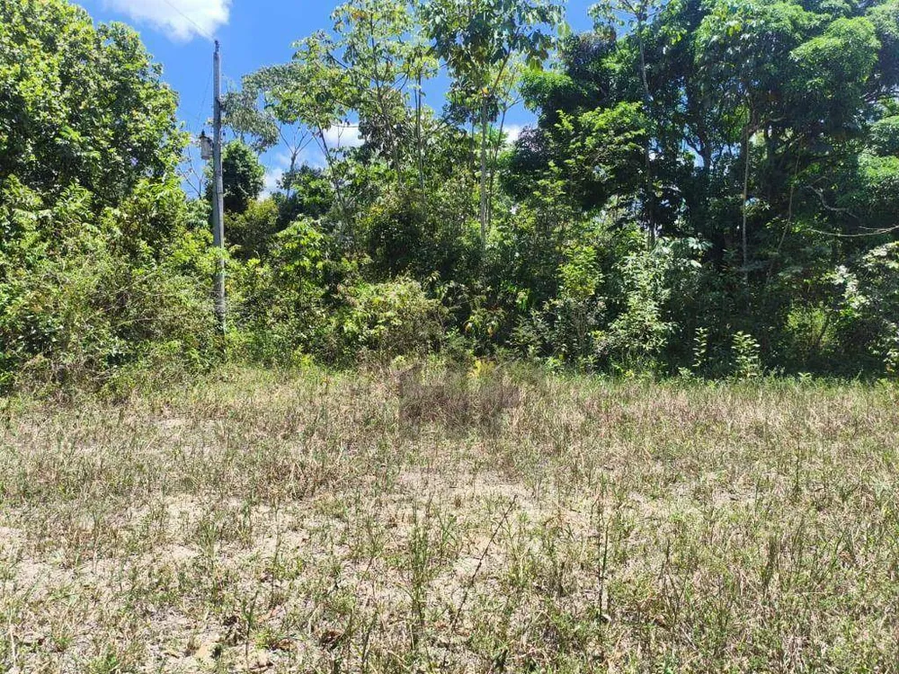 Chácara, 4 quartos, 10000 m² - Foto 1