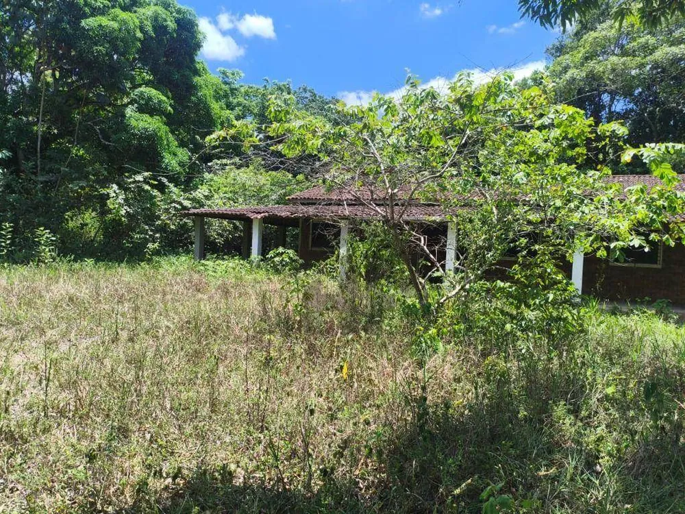 Chácara, 4 quartos, 10000 m² - Foto 15