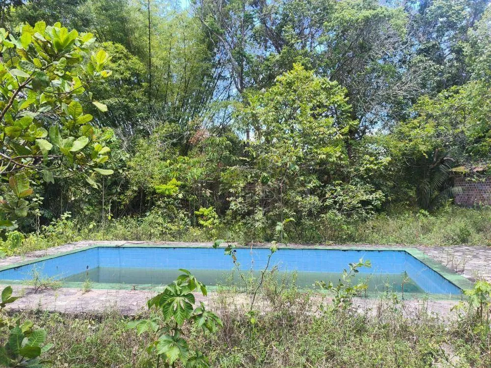 Chácara, 4 quartos, 10000 m² - Foto 3