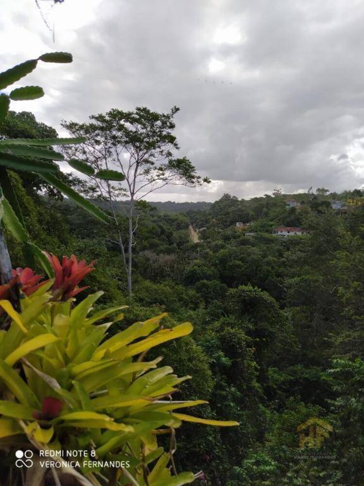 Terreno, 6940 m² - Foto 10