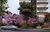 Apartamento, 3 quartos, 109 m² - Foto 1