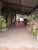 Chácara, 2 quartos, 1037 m² - Foto 4
