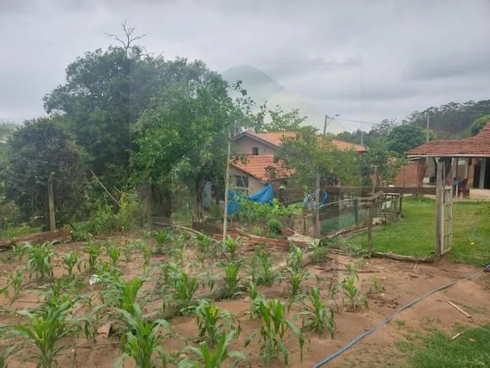 Chácara, 3 quartos, 900 m² - Foto 18