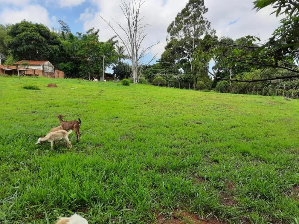 Loteamento e Condomínio, 2815 m² - Foto 4