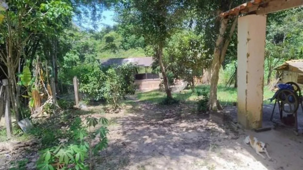 Chácara, 3 quartos, 2 hectares - Foto 15