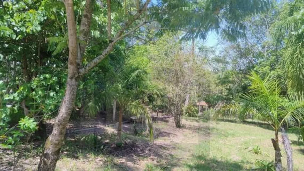 Chácara, 3 quartos, 2 hectares - Foto 8