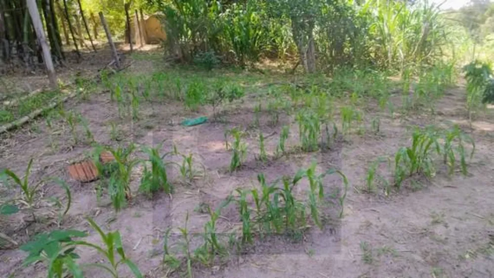 Chácara, 3 quartos, 2 hectares - Foto 14