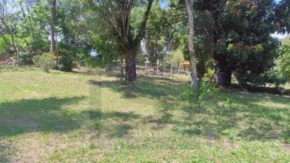 Chácara, 3 quartos, 2 hectares - Foto 7