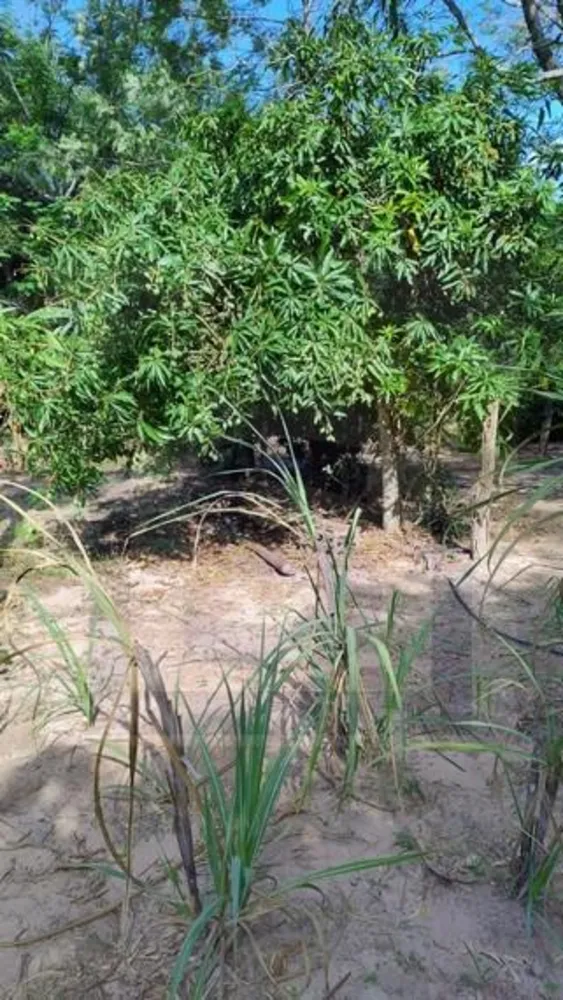 Chácara, 3 quartos, 2 hectares - Foto 16