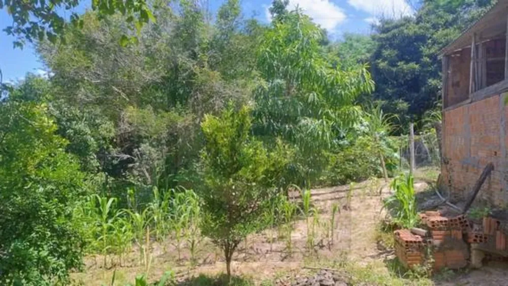 Chácara, 3 quartos, 2 hectares - Foto 13