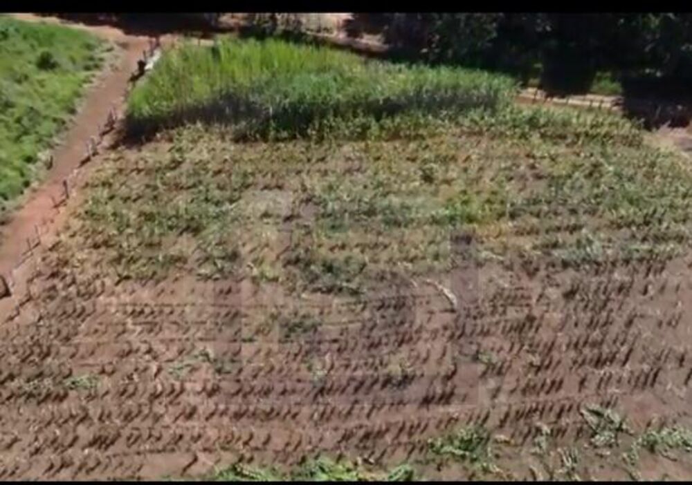 Chácara, 1 quarto - Foto 1