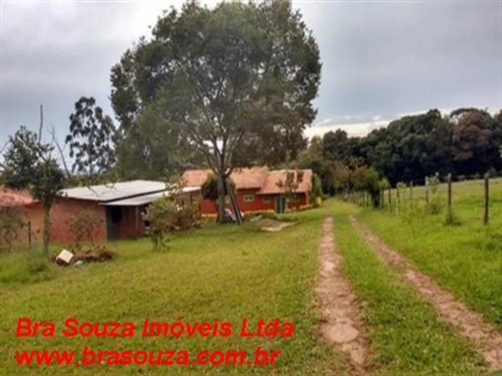 Chácara, 4 quartos, 5000 m² - Foto 1