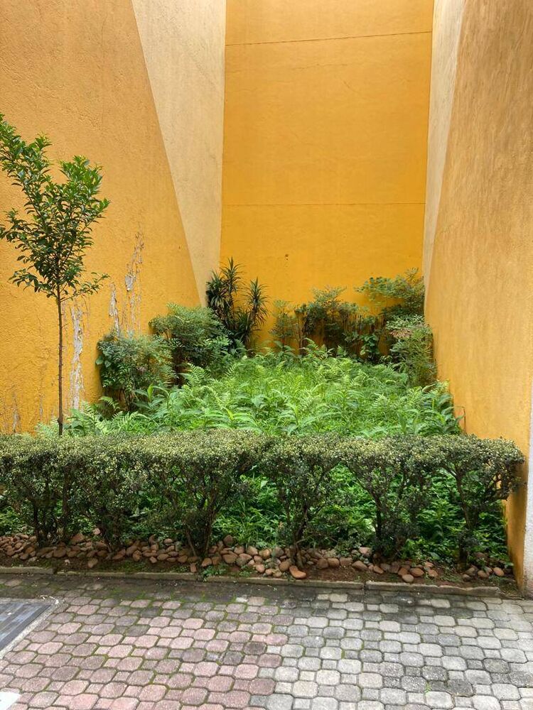 Terreno, 32 m² - Foto 2