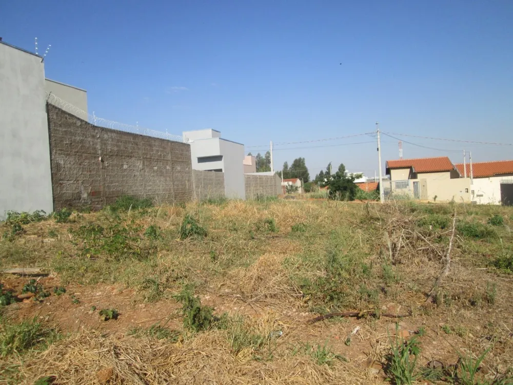 Terreno - Foto 5