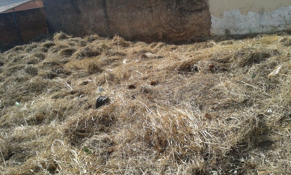 Terreno, 276 m² - Foto 3