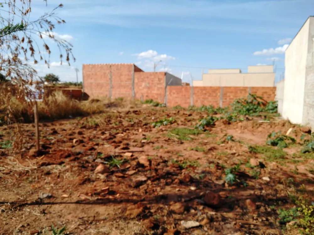 Terreno - Foto 6