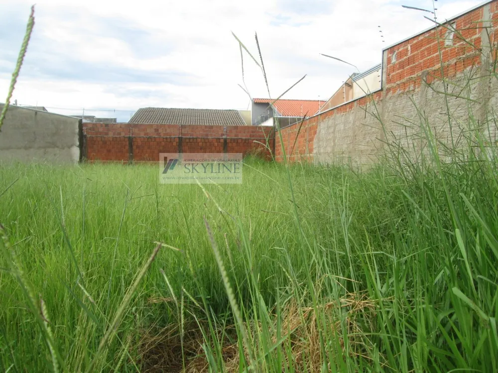 Terreno - Foto 6