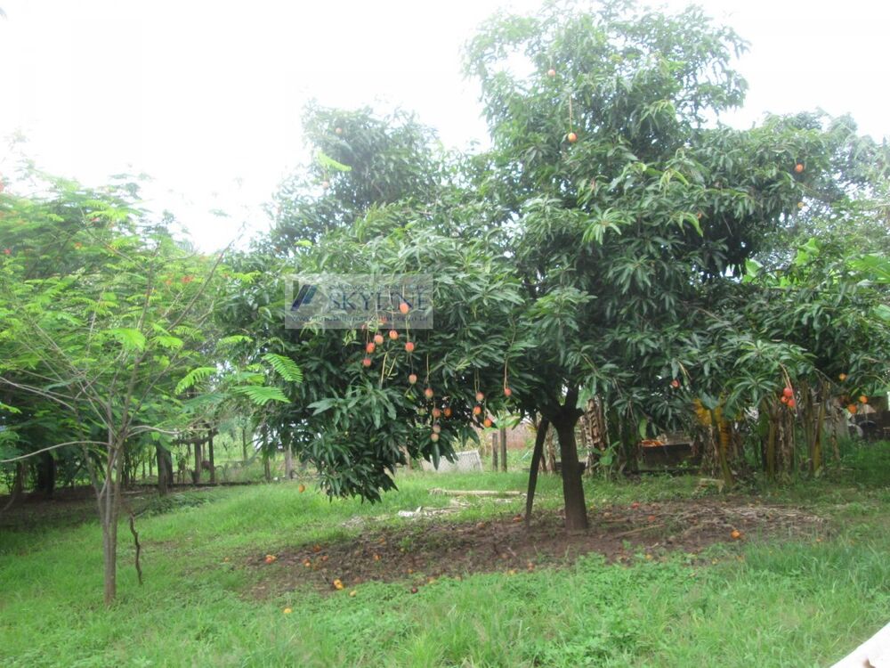 Chácara, 2 quartos, 2500 m² - Foto 1