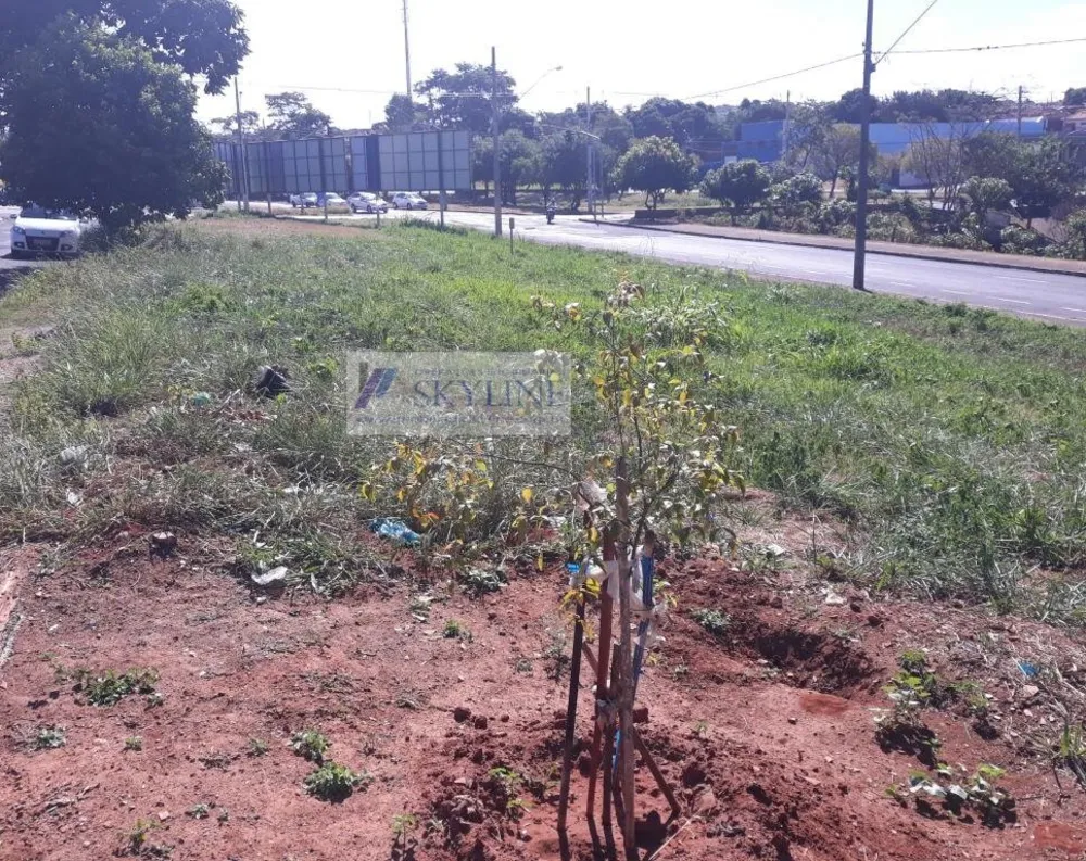Terreno, 1708 m² - Foto 6