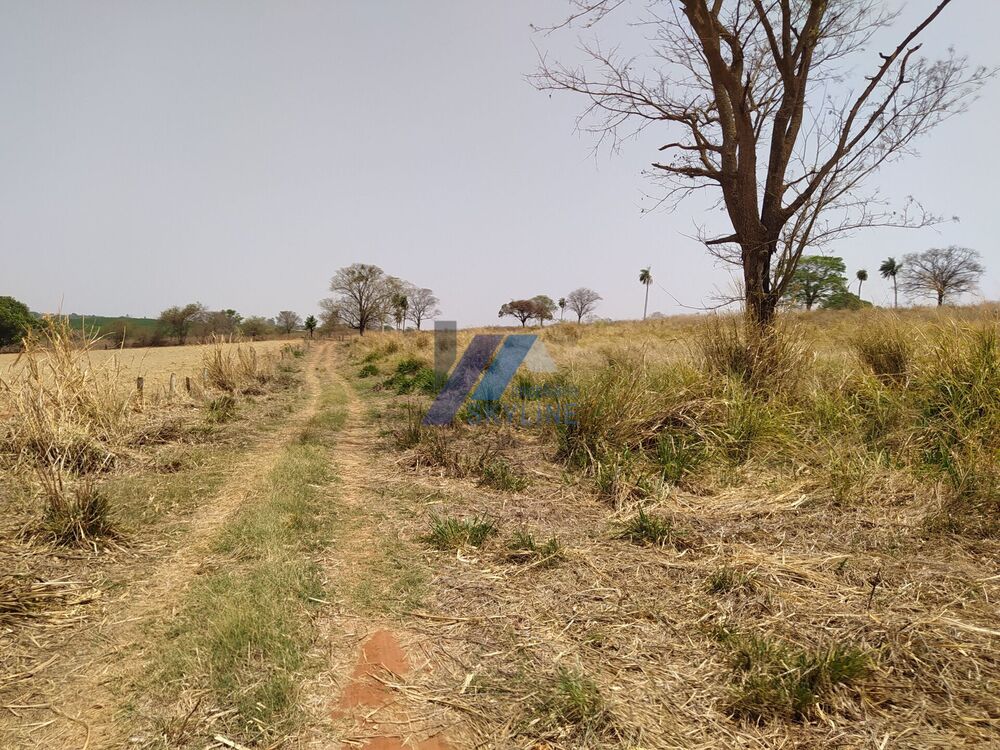 Loteamento e Condomínio, 12 hectares - Foto 3