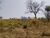 Loteamento e Condomínio, 12 hectares - Foto 4