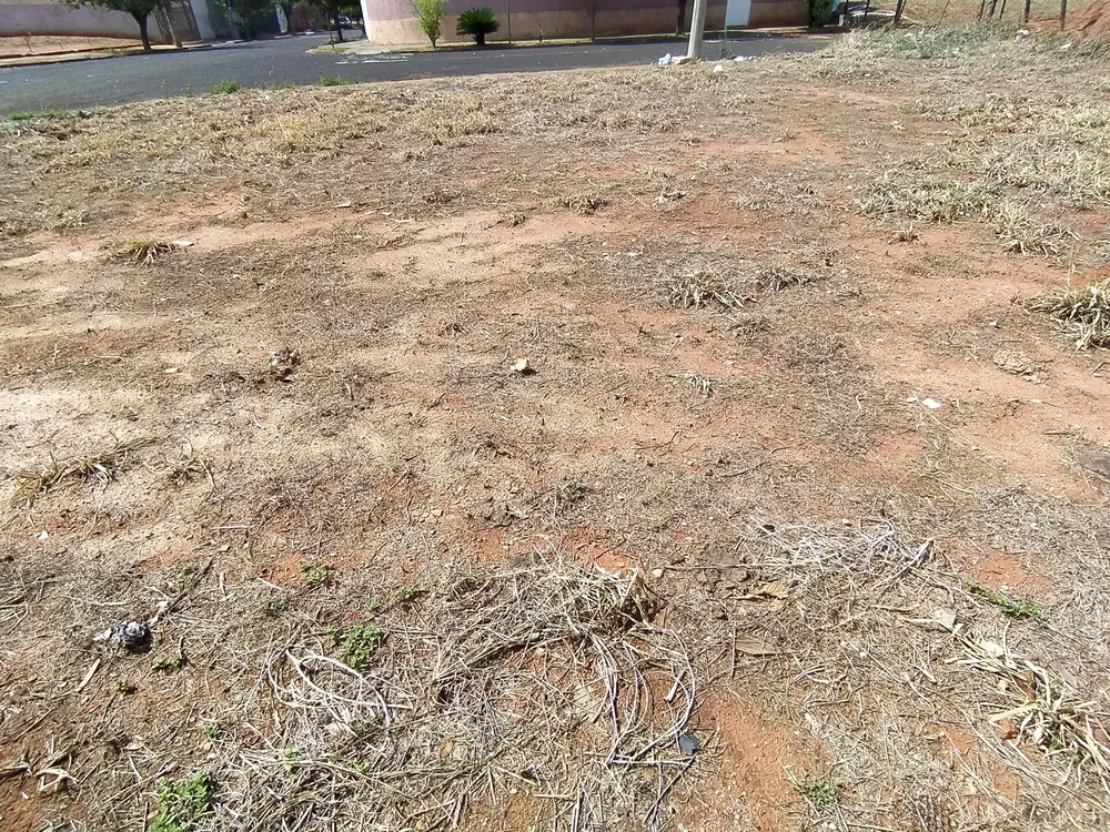 Terreno, 361 m² - Foto 7