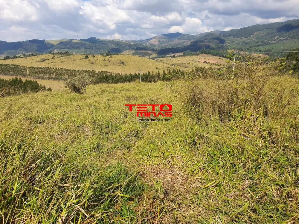 Fazenda - Foto 10