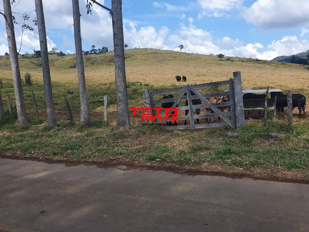 Fazenda - Foto 4