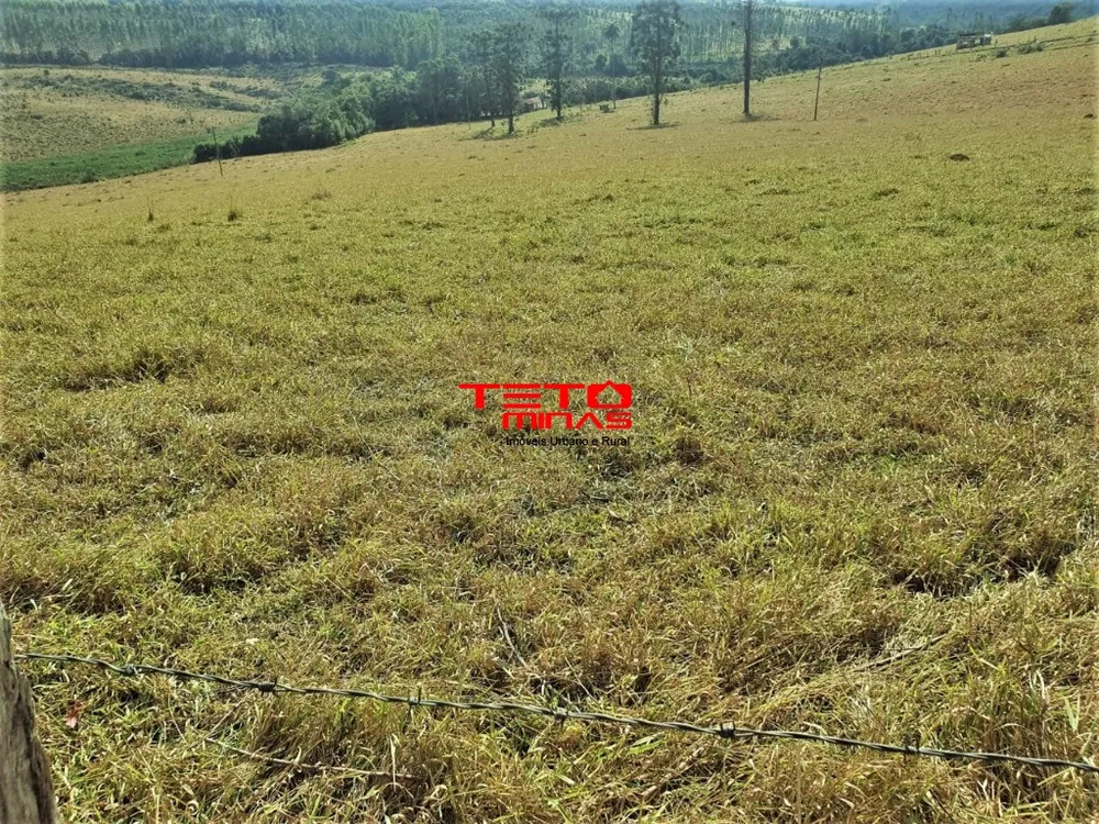 Fazenda - Foto 3