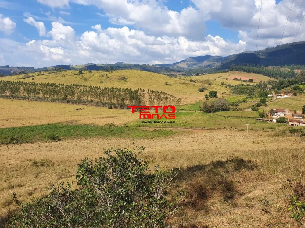 Fazenda - Foto 5