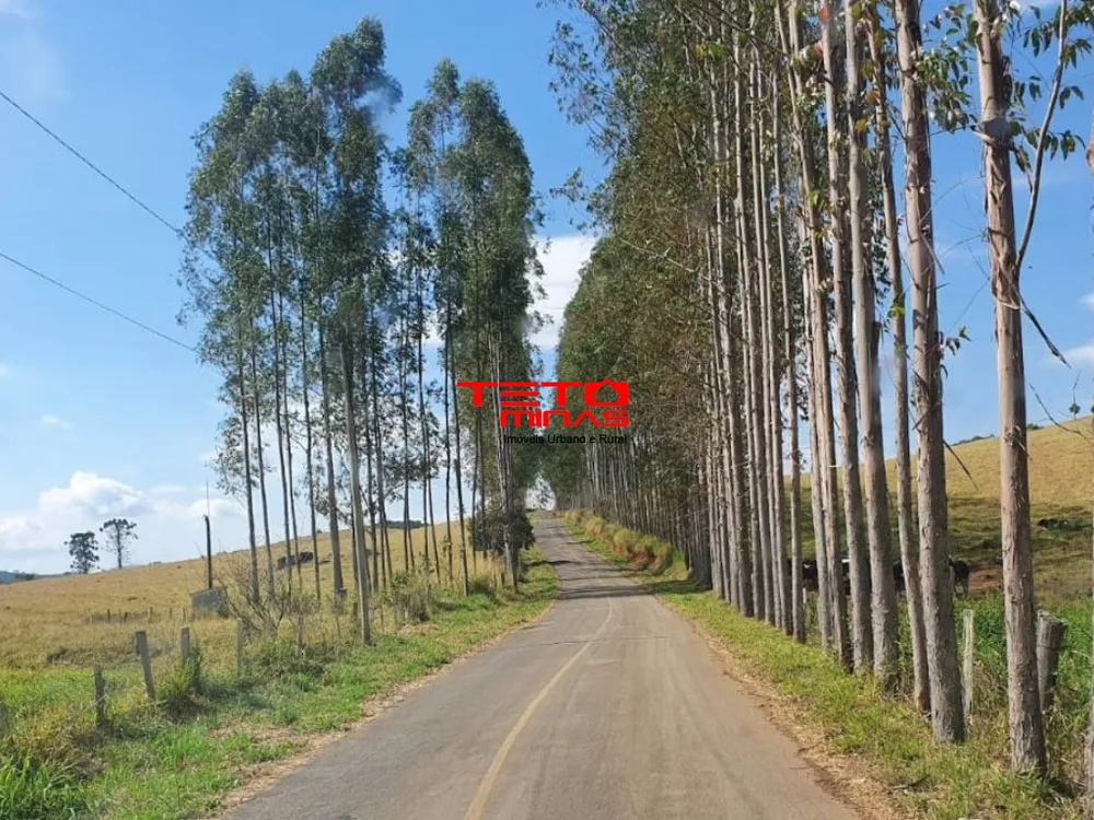 Fazenda - Foto 1
