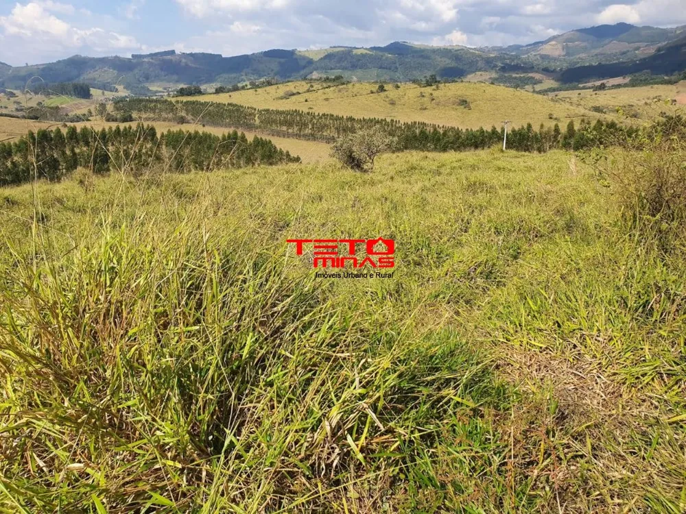 Fazenda - Foto 6