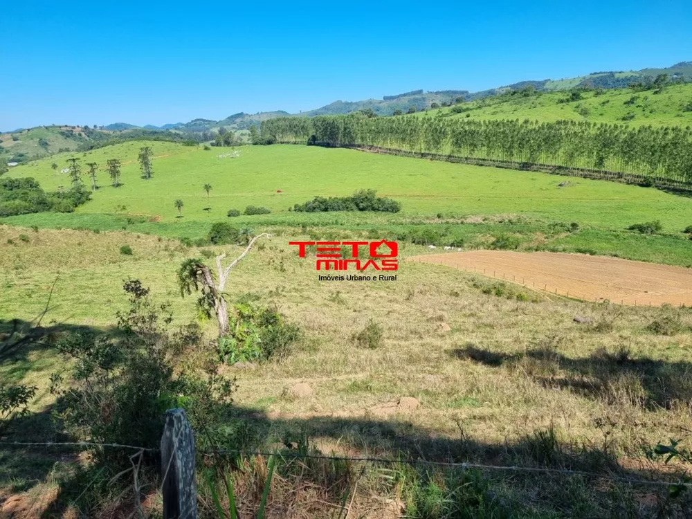 Fazenda - Foto 2