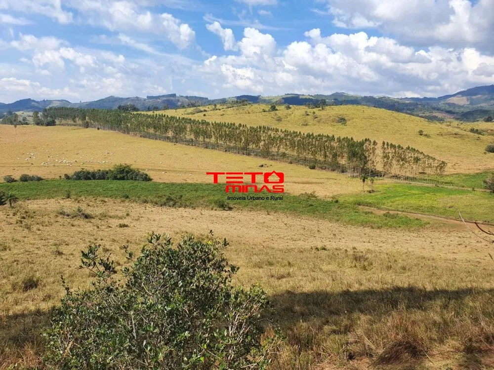 Fazenda - Foto 3