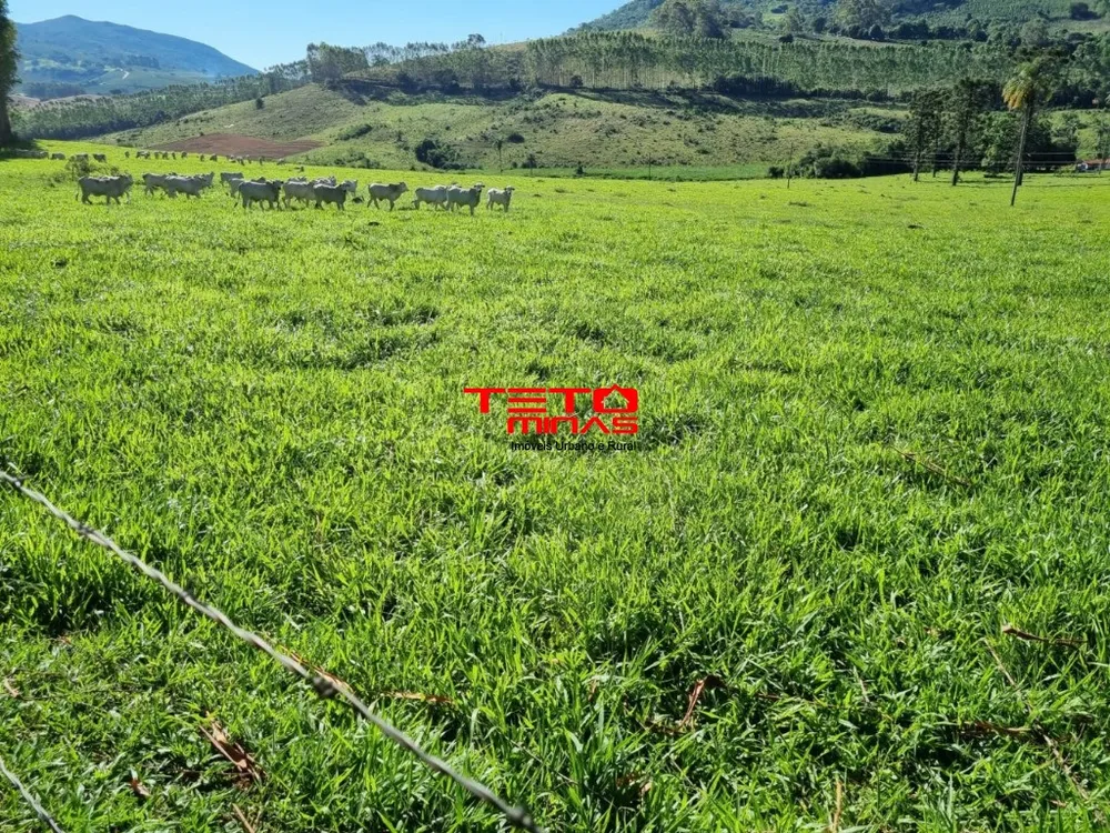 Fazenda - Foto 12