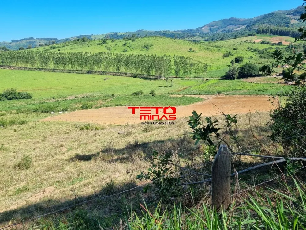 Fazenda - Foto 8