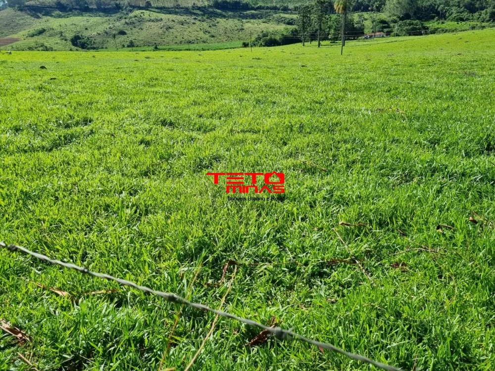 Fazenda - Foto 15
