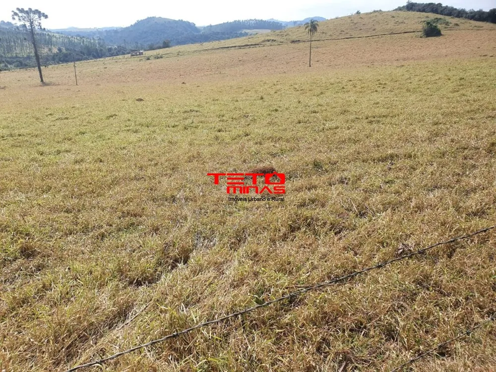 Fazenda - Foto 7