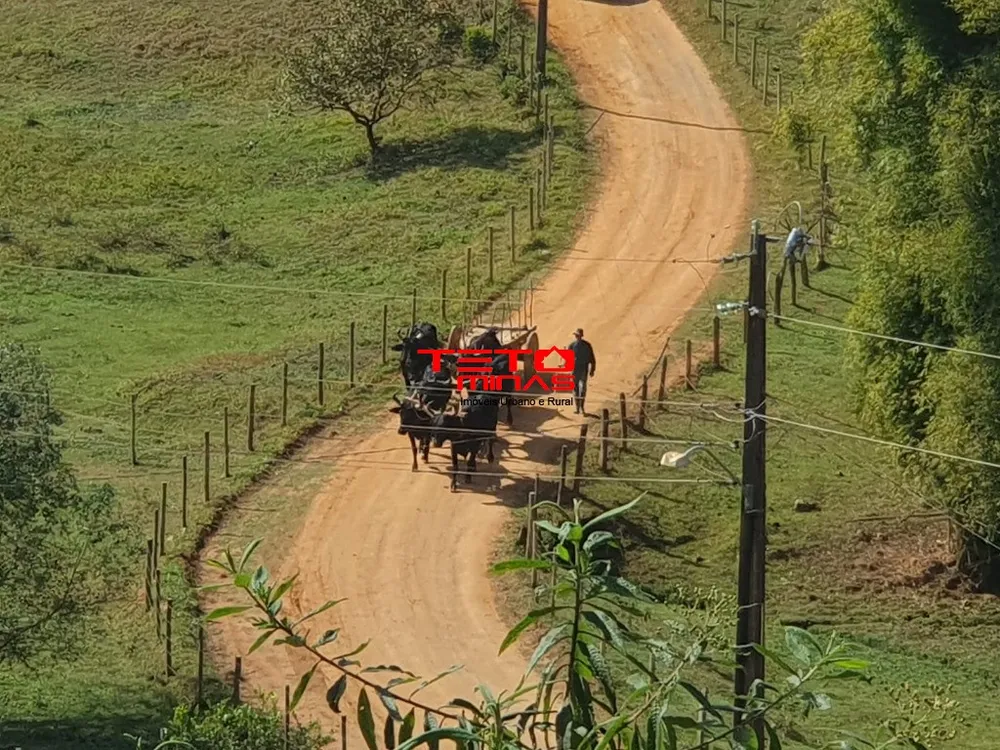 Chácara - Foto 10