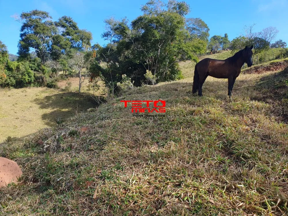 Chácara - Foto 2