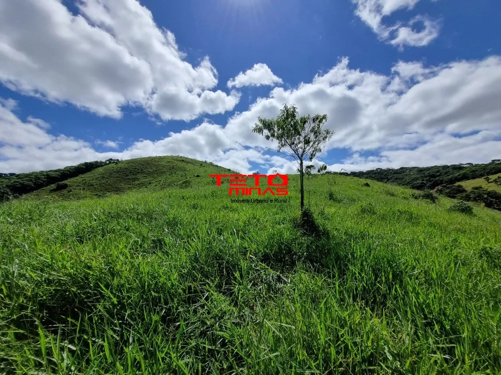 Sítio - Foto 15