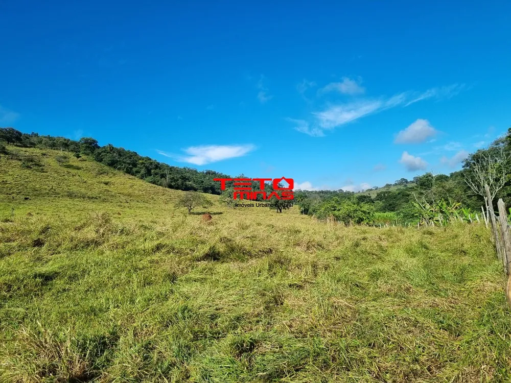 Sítio - Foto 7
