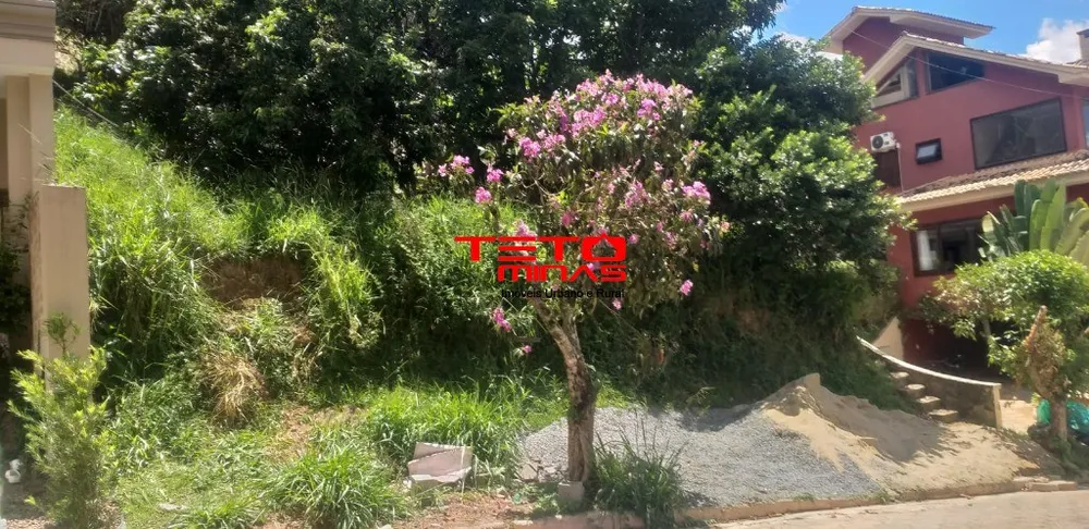 Terreno, 300 m² - Foto 4