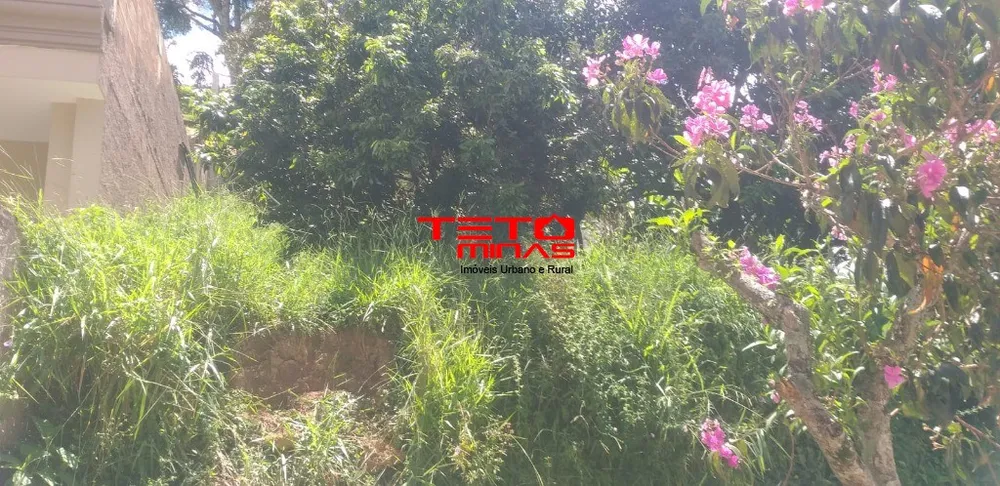Terreno, 300 m² - Foto 6