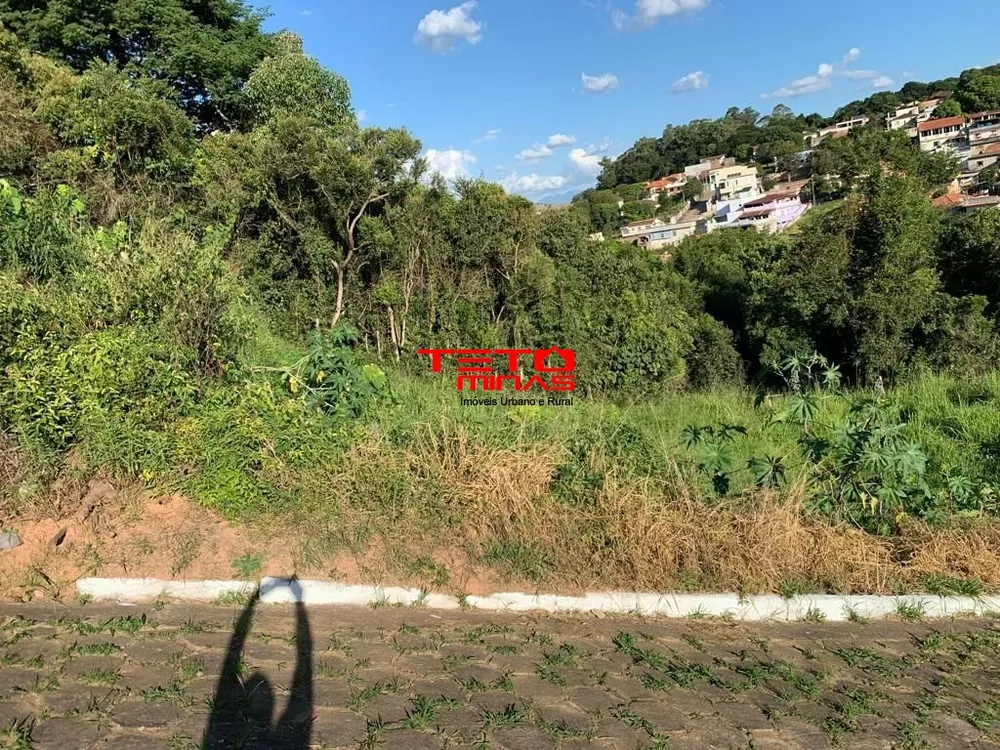 Terreno, 250 m² - Foto 4